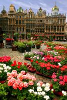 Brussels Grand Place